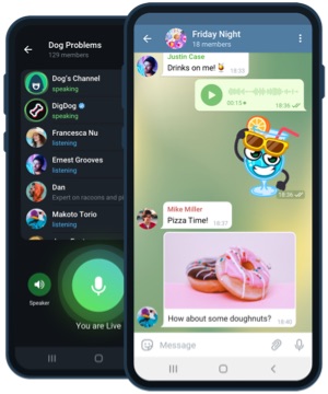 iOS 版